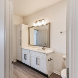 a bathroom with a mirror and sink
